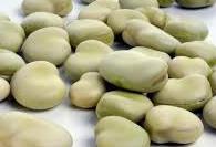 Dry peas (Pisum spp.