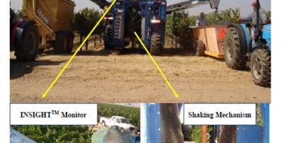 2012 Conclusions Vineyard variability affects
