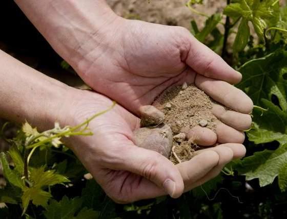 A SOIL FORGED BY THE DUERO