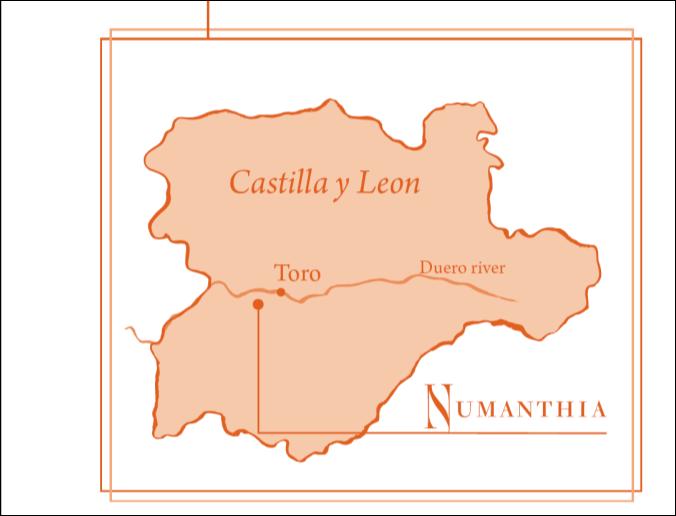 LOCATION & TORO APPELLATION North West of Spain in Castilla y León region The Toro DO (Denominacion de Origen) was