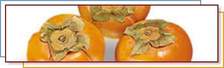 Fruit of the Month PERSIMMONS! Persimmons origins go back to ancient China.