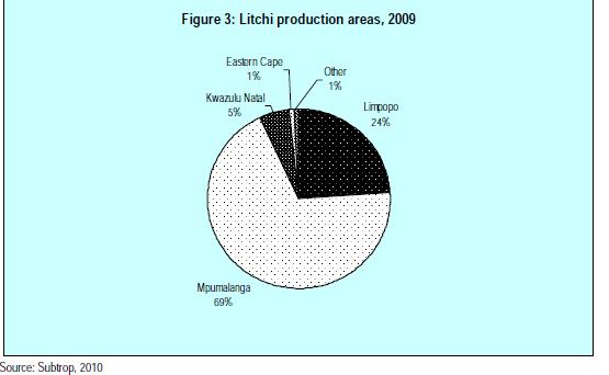 PRODUCTION CAPACITY OF SOUTH AFRICA Litchis:1721ha 2247.705 tons of litchi juice 2606 tons exported Limpopo(Tzaneen, Makhado, and Levubu).