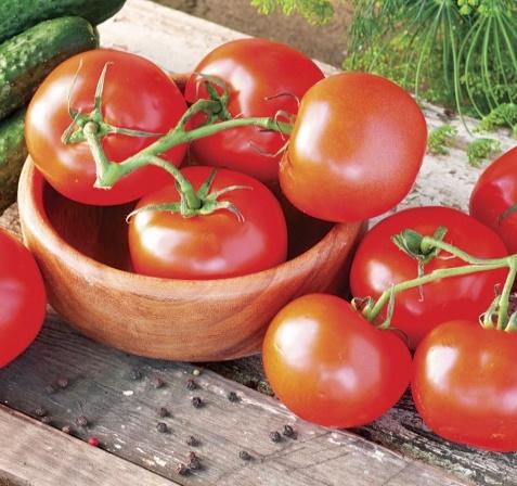 Celebrity 1984 AAS Winner! Celebrity vines bear clusters of mediumlarge tomatoes that are prized for their flavor.