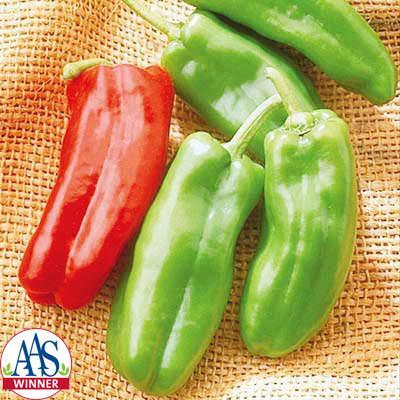 Giant Marconi Peppers Incredibly versatile! Terrific in salads, salsa, roasted, grilled, or fried. Bred in Italy, this pepper is also an All America Selections winner.