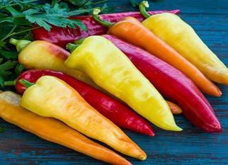 Maturing from light-green to golden-yellow, the peppers grow on 22-26" sturdy, upright plants that set continuously. 65-75 days Sweet Bananna A mild, sweet Hungarian pepper.