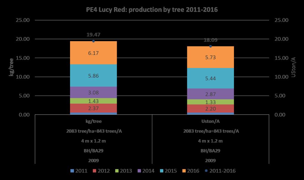 Lucy Red TM PE4UNIBO* Medium productivity Large
