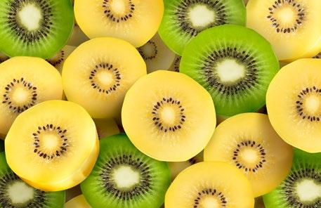 A. Introduction Purpose of this communication This outlook provides a summary of Zespri s rolling Five Year Plan, which is updated and reviewed by the Zespri Board annually.