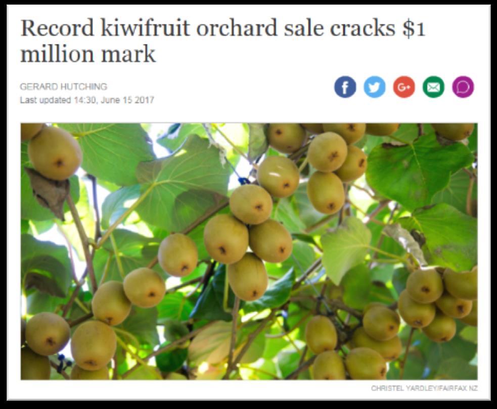 More investment in kiwifruit Orchards attracting strong prices High demand for Gold3 licences