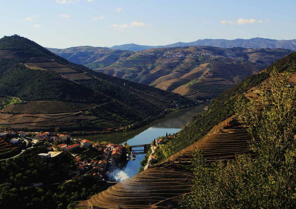 Dream, Book and go! Visit Douro. We do the rest, easy going starts now!