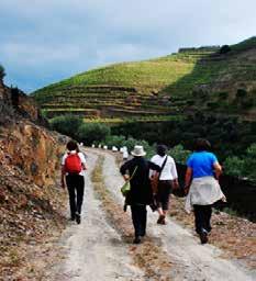 Extended you stay at Douro, we have other experiences available: Hiking Tour (4 hours): The route starts with a transfer from Pinhão village to Provesende (a