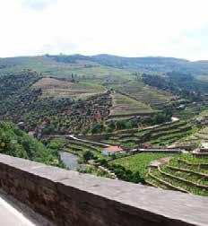 Auto Tour Through the wine Producing Villages of the region: A unique auto tour through different wine-producing villages of the Douro valley.