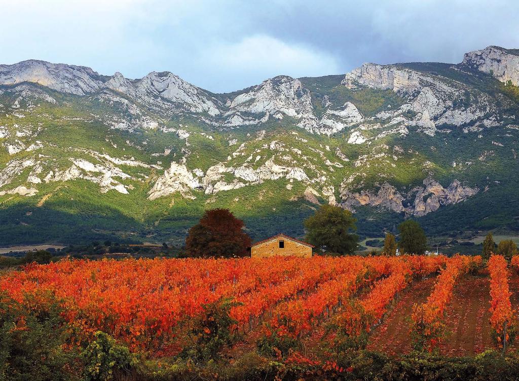 D.O.Ca. Rioja I SIERRA CANTABRIA & MONTES OBARENES This mythical region is found in the foothills of the Sierra Cantabria (Rioja Alavesa and Rioja Alta).