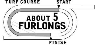 8 Parx Racing OC 25k/N2X About 5 Furlongs (Turf). (:56 ) ALLOWANCE OPTIONAL CLAIMING.