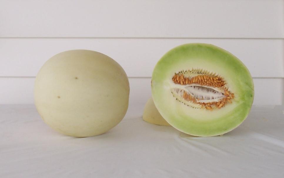 6% (8) Abbott & Cobb SummerDew #252HQ 22,137 lbs/a (18) 3,250 melons/a (24) Mean