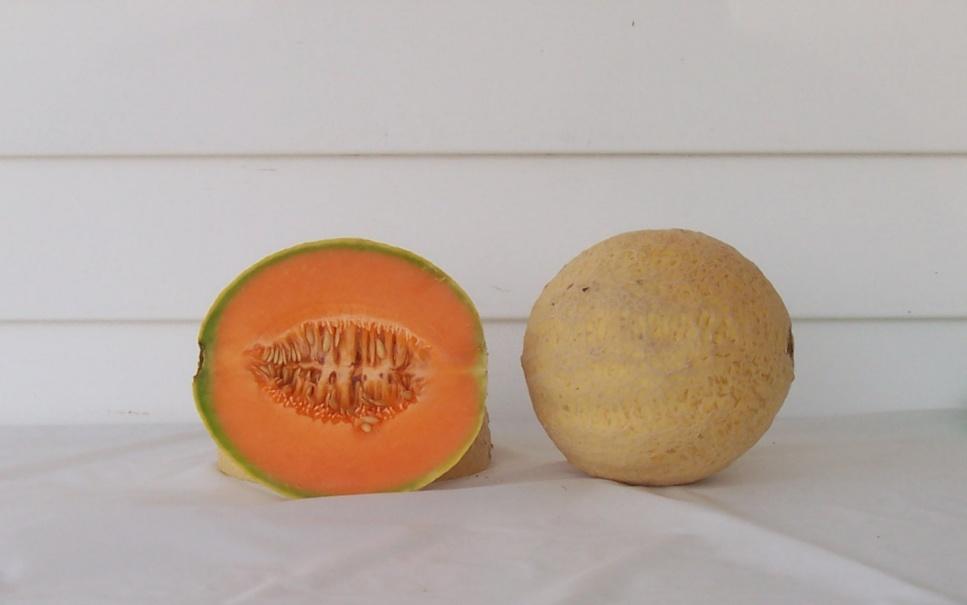 6% (2) Check Sugar Cube 19,408 lbs/a (23) 7,537 melons/a (4) Mean Weight: 2.