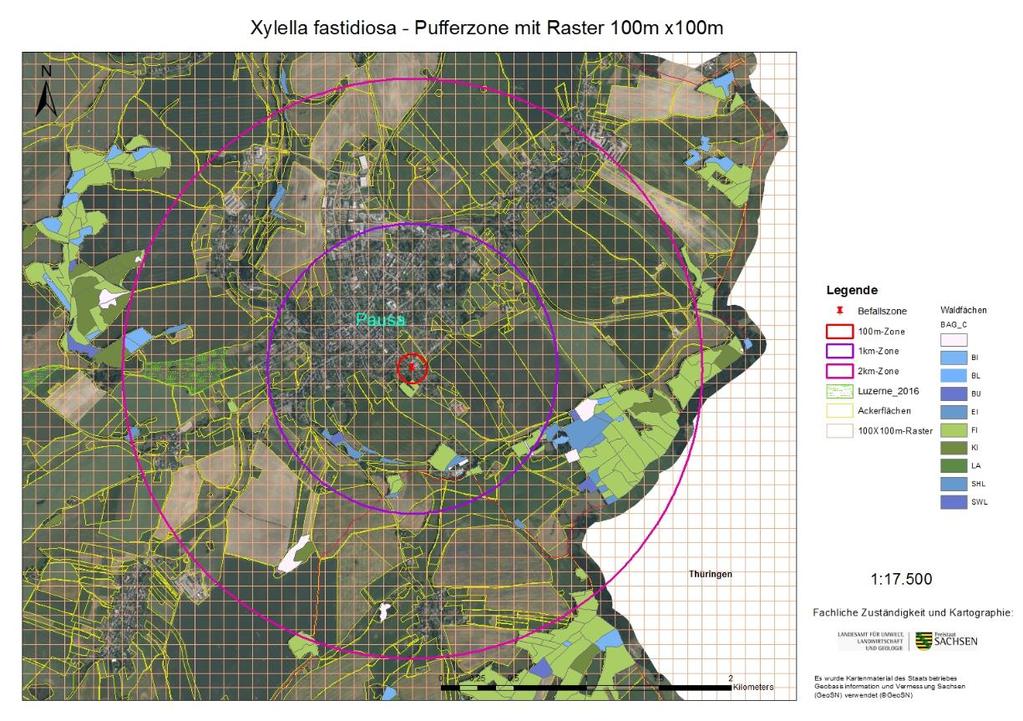 Buffer Zone (extract) split into 100 m 100 m squares Forest Green areas conifers Blue areas broad