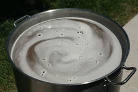 Boil Encourage the precipitation of protein and polyphenols: 1.