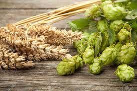 Polyphenols Often referred to as tannins Present in both malt and hops, thereby introduced both during the mash and the boil Typically about 20-30% of the polyphenols come from hops, with the