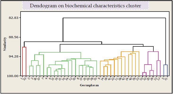 Cluster mean Figure 2: Analysis showing the relationship between 42 jujube germplasm based on fruit biochemical traits. The highest cluster means for fruit weight (21.95 g), seed weight (1.