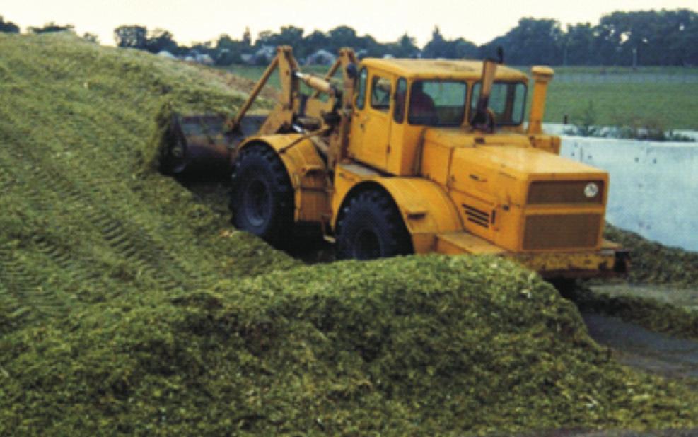 Smell: The smell of the well-fermented silage is like that of vinegar whereas poorly fermented silage is foul smelling.