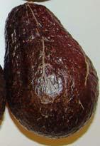 Example of fruit