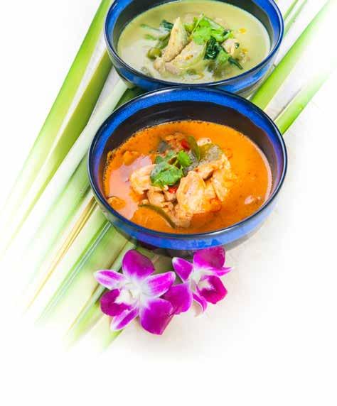 Classic Thai Green Curry Gaeng Keow Wan Kai Thai Dry Red Curry Pa Nang Kai CURRY 14.