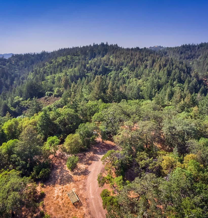 PROPERTY DESCRIPTION 133 gorgeous, redwood filled acres only five minutes from downtown Cloverdale in the sought-after Alexander Valley.