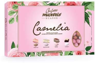 Tiramisù Classic 39 Maxtris Nuance Garden Toasted almond in white or dark or and gianduia milk chocolate in mix