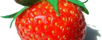 Fruit types based on morphology FLESHY FRUIT TYPES Berry ( 장과 ; 漿果 ):
