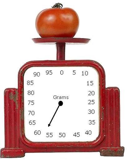 The picture above shows a scale being used to measure the mass of a tomato.
