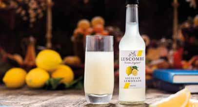Luscombe Organic Drinks of Devon Blueberry Crush (24x270ml) Was 25.05 Now 18.49+VAT Code 32414 77p Cool Ginger Beer (24x270ml) Was 24.