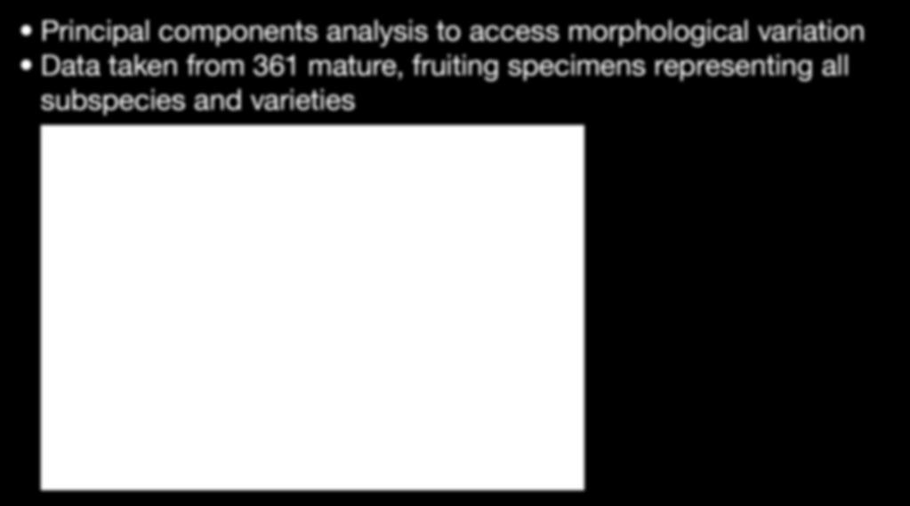 Quantitative analysis of morphological data Principal components analysis to access morphological variation Data taken from
