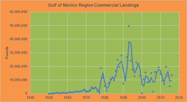 Gulf Commercial Landings Provided Eight Percent of Total Domestic Crawfish Supply The long-term annual commercial crawfish landings in the Gulf of Mexico states are shown in Fig. 2.
