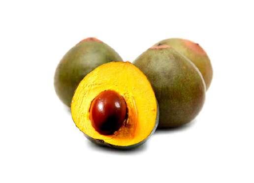 LUCUMA (Pouteria lucuma) Lucuma is a native fruit of the Peruvian Andes, consumed since pre-hispanic times. The first evidences of lucuma appeared 8,000 years A.C. in Áncash, Central Andes.