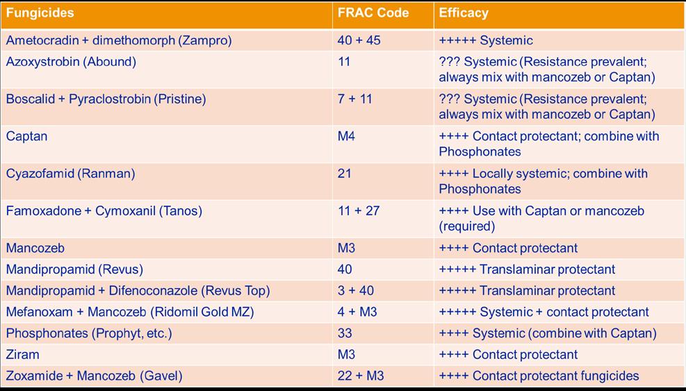 Table 2. List of downy mildew active materials, Fungicide Resistance Action Committee (FRAC) codes, and efficacy ratings with notes. References Baudoin, A., Olaya, G., Delmotte, F., Colcol, J. F., & Sierotzki, H.