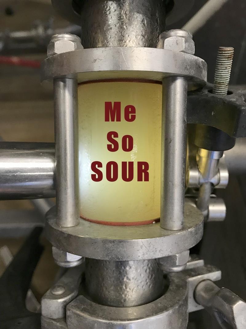 What drives flavor in Sour Beer?