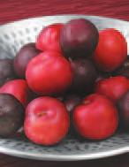 Pches, Sweet Sweet & Tangy Black or Red Plums 9 Braeburn or Pink Lady