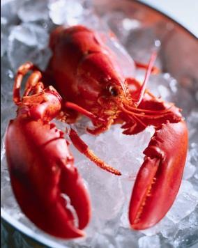 Twin Lobster Night- October 20 Angelico s Lake House Restaurant, serves a twin lobster dinner for $24.95 from 4:00-9:00pm.