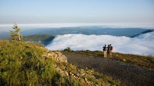 TRIP IDEAS Nestled between the mist-covered Coast Range and the soaring Cascade peaks, the Willamette Valley stretches for more than 130