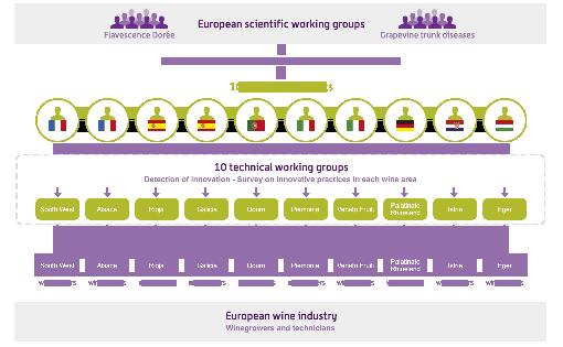 Europen collbortive project for the exchnge nd trnsfer of innovtive knowledge between Europen wine-growing regions to increse the productivity nd