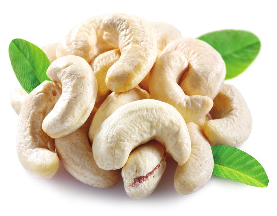 Export markets include USA & Canada, Europe, the Middle East and many parts of China - Yearly capacity: 5,000 tons cashew kernels (300 containers) - Expected capacity: 11,000 tons (700