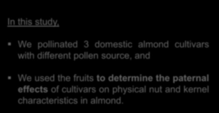 In this study, We pollinated 3 domestic almond cultivars with different pollen source, and We used the