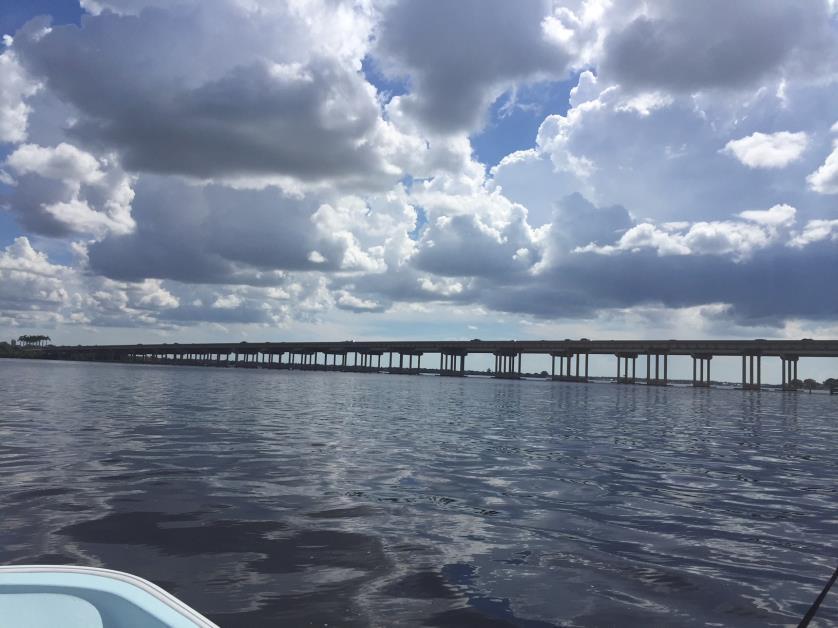 Bringing Oysters Back to Manatee River Used to be named
