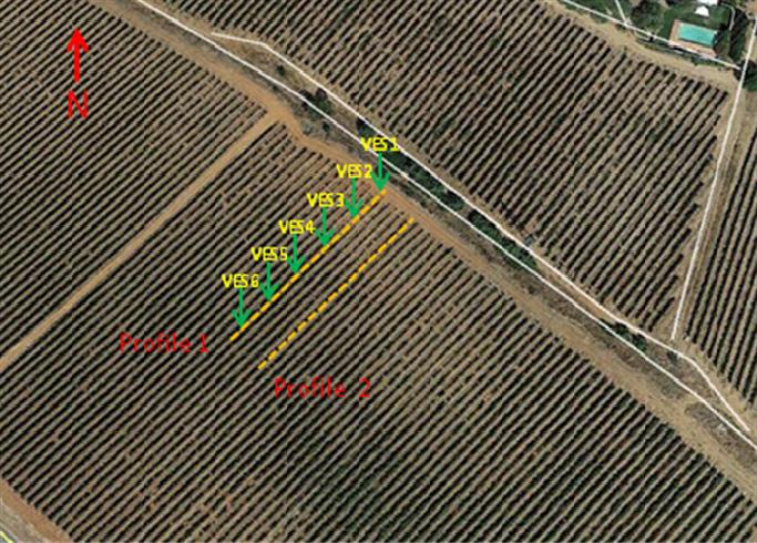 Introduction In order to understand and study the soil in a vineyard in the Quinta do Mouro, in the wine region of Estremoz, in southern Portugal, a geophysical survey was carried out in 2014.