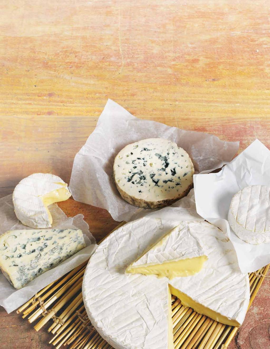 Specialty Fresh Cheese Cheese Kit Instructions Kit Delicious Specialty Cheese!