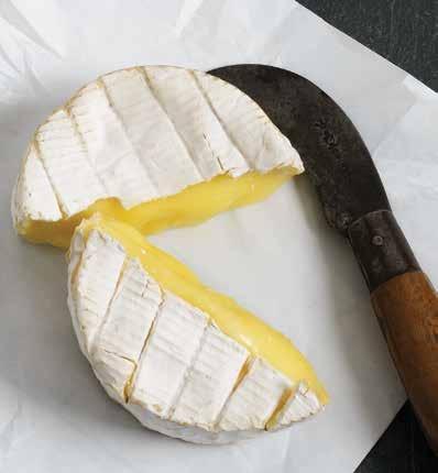 Let s get making some cheese! Camembert Makes approx: 2 x 175 g (6 oz) Camembert is a soft creamy cheese which is ripened through the white ripening mould, Penicillium Camemberti.