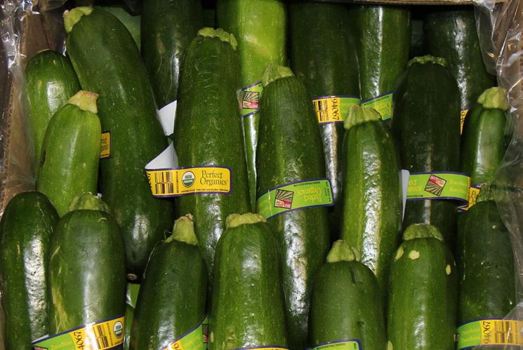 Florida growers are reporting low yields on their new plantings of Organic Cucumbers.