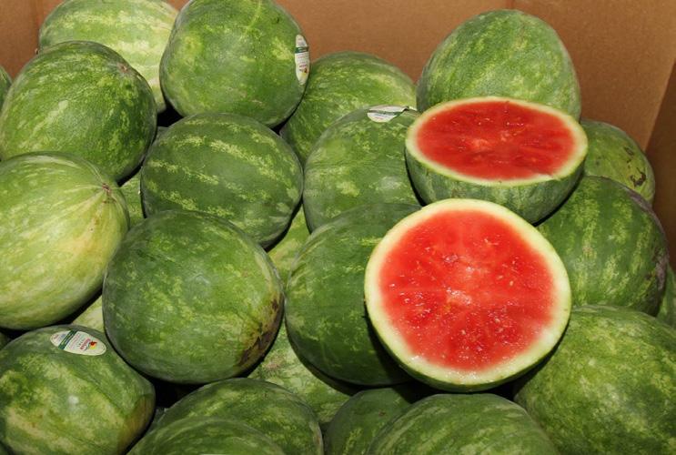 CV CUCUMBERS CV WATERMELOS CV SQUASH Canadian growers are in a complete flush right now on all