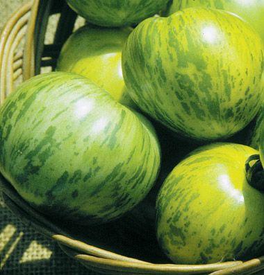 Green Zebra A delicious, tangy salad tomato, ripe just as the green fruit develops a yellow blush, accentuating the