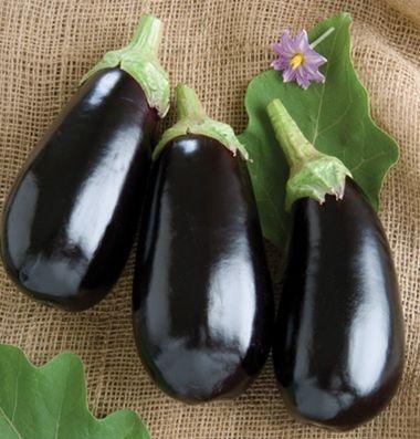 Eggplant Orient Express Eggplant Attractive, slender, 8 10" long by 1 1/2 2 1/2" diameter, glossy.